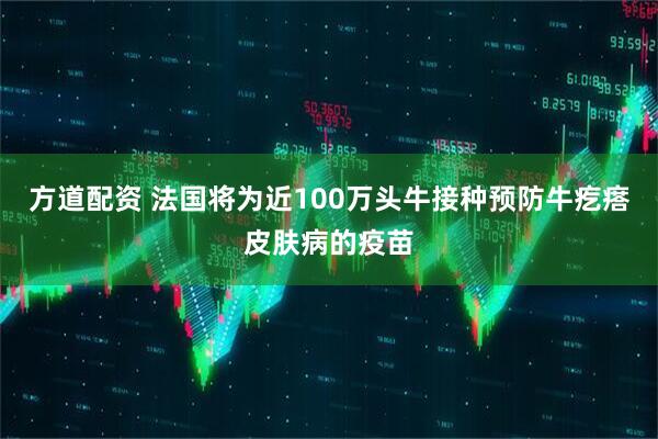 方道配资 法国将为近100万头牛接种预防牛疙瘩皮肤病的疫苗