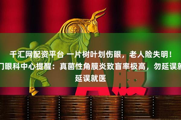 千汇网配资平台 一片树叶划伤眼，老人险失明！厦门眼科中心提醒：真菌性角膜炎致盲率极高，勿延误就医