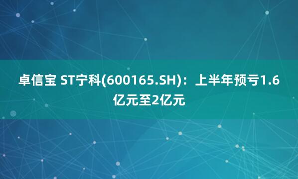 卓信宝 ST宁科(600165.SH)：上半年预亏1.6亿元至2亿元