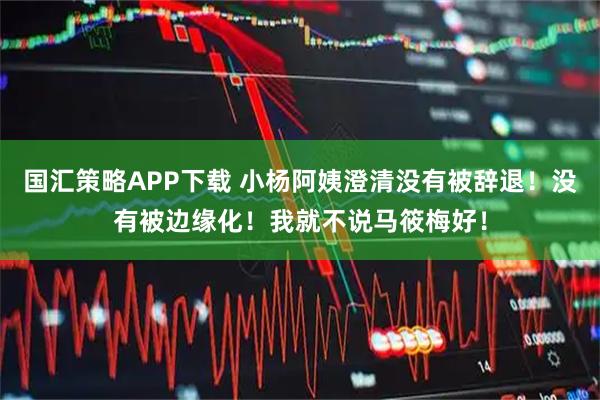 国汇策略APP下载 小杨阿姨澄清没有被辞退！没有被边缘化！我就不说马筱梅好！